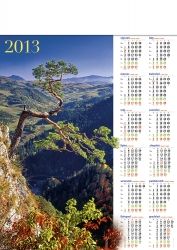 Kalendarz 2013 ścienny