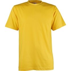 Koszulka Sof-Tee kolor z nadrukiem