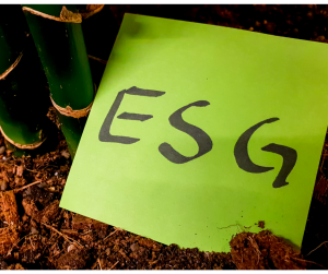 ESG w posce