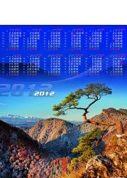 Kalendarze 2012 jednoplanszowe
