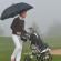 Parasol do gry  w golfa
