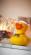 Świąteczna gumowa kaczka BENEDIKT, żółty